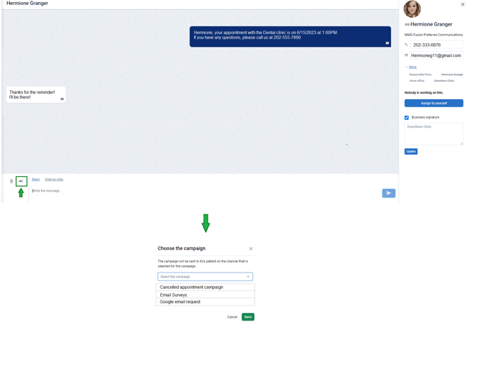 Send any campaign manually-1